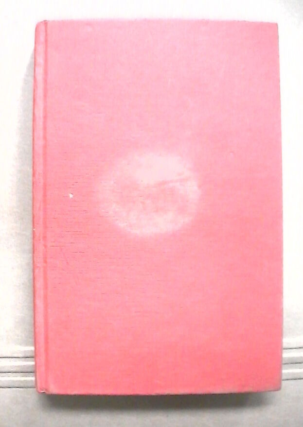 23951955