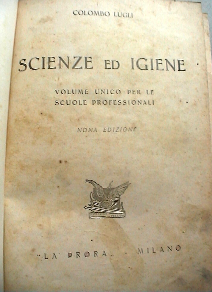 23953248