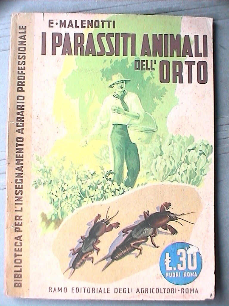23959342