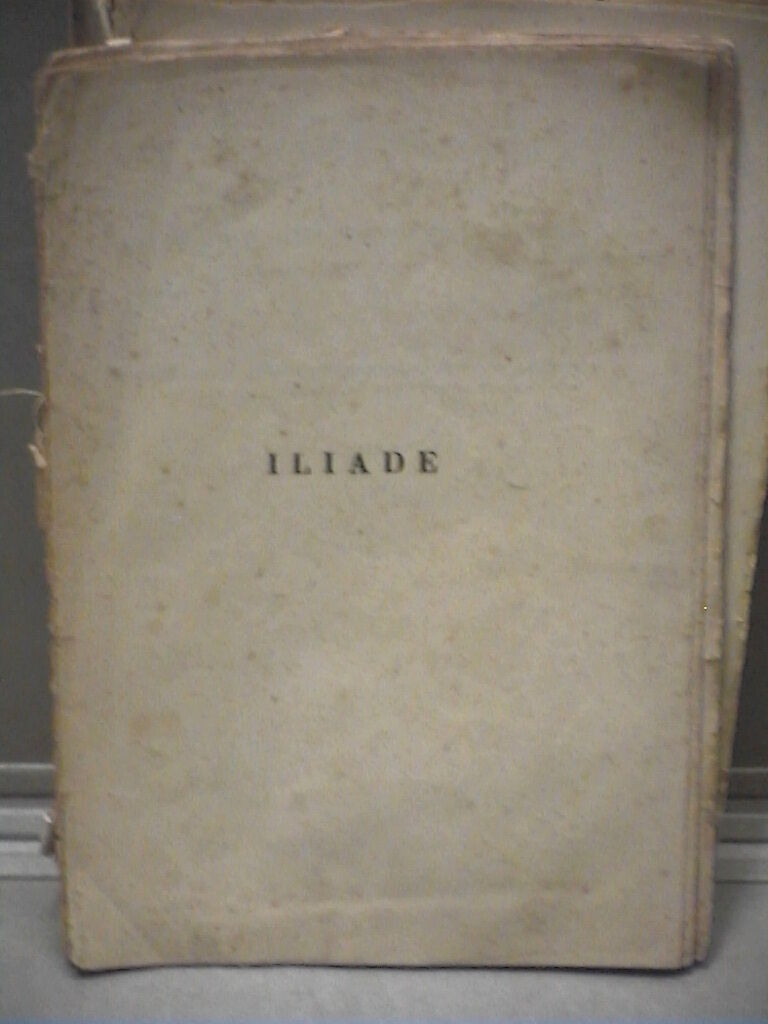 23968251