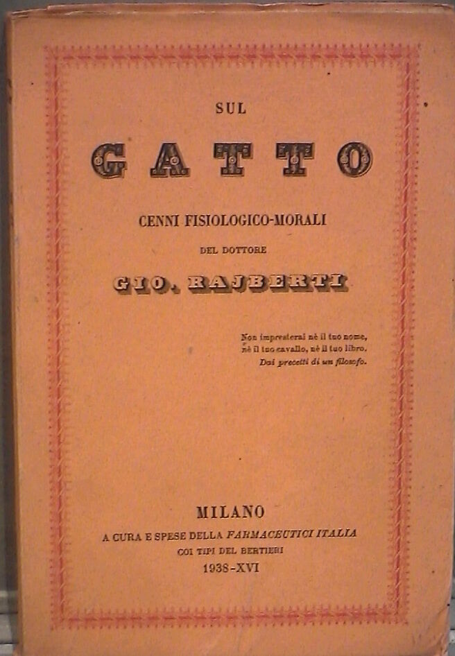 23988038