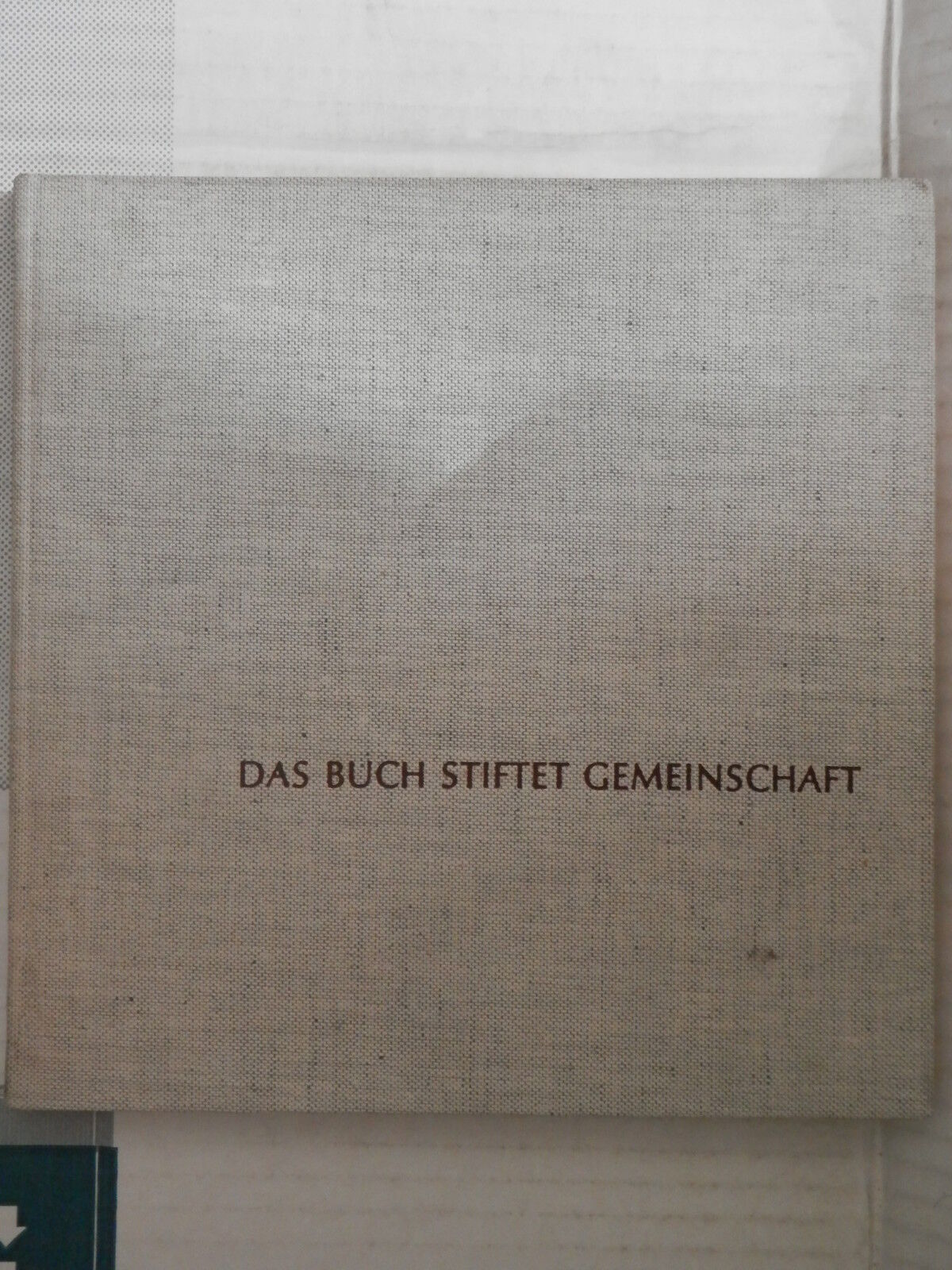 24016532