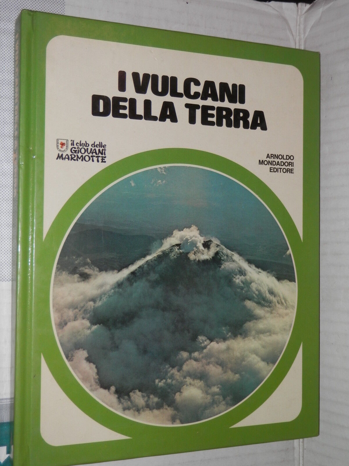 24741309