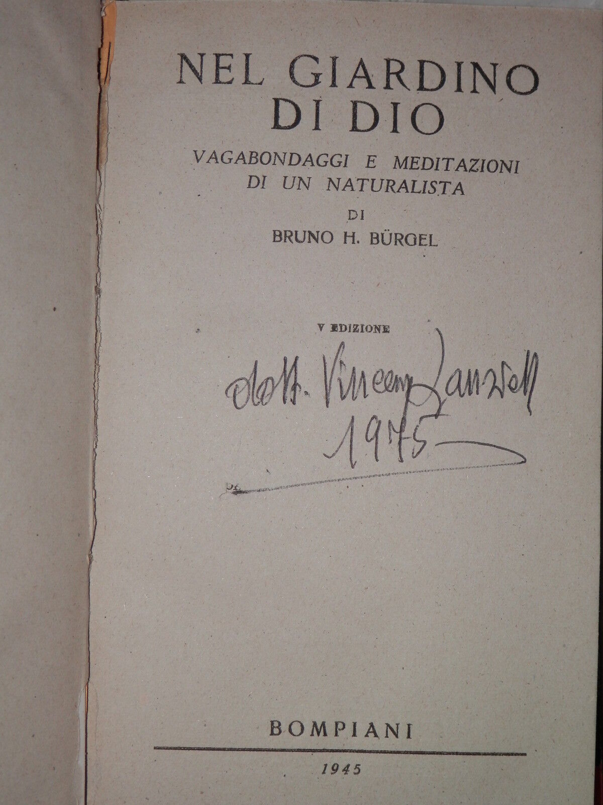 24087503