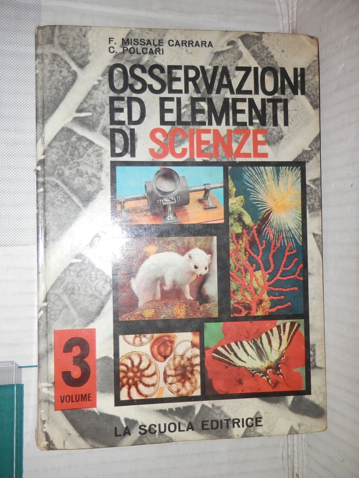 24105347