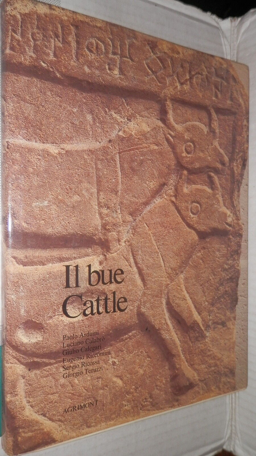24105433