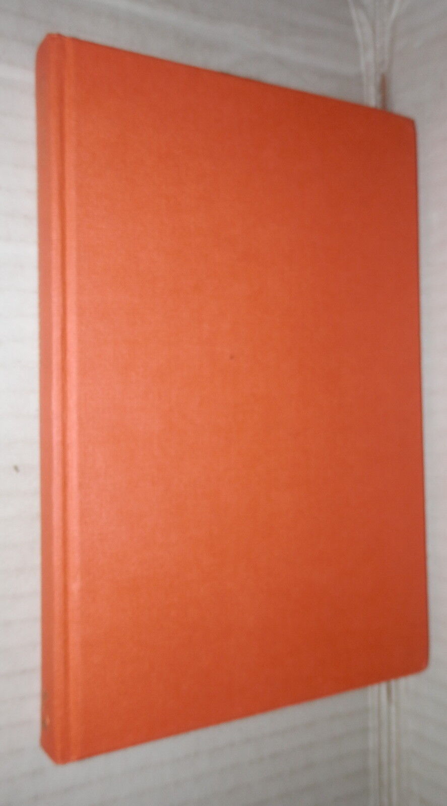 24073351