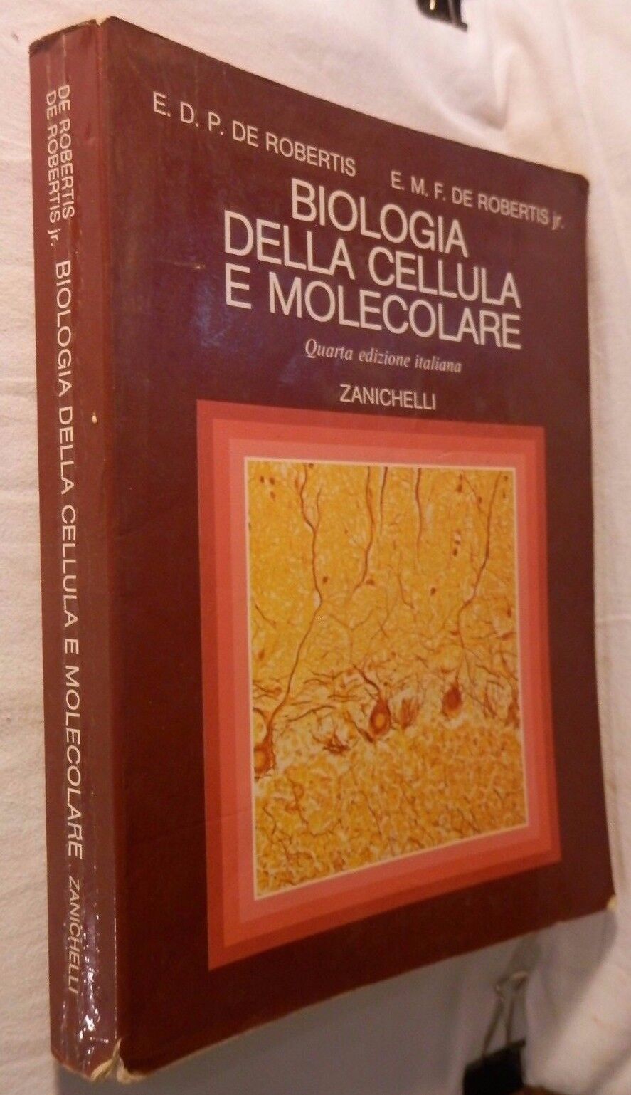 24079210