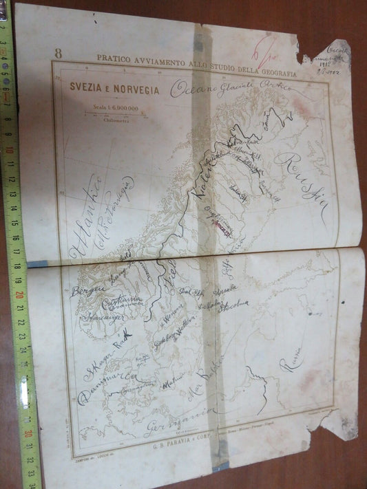 24025297