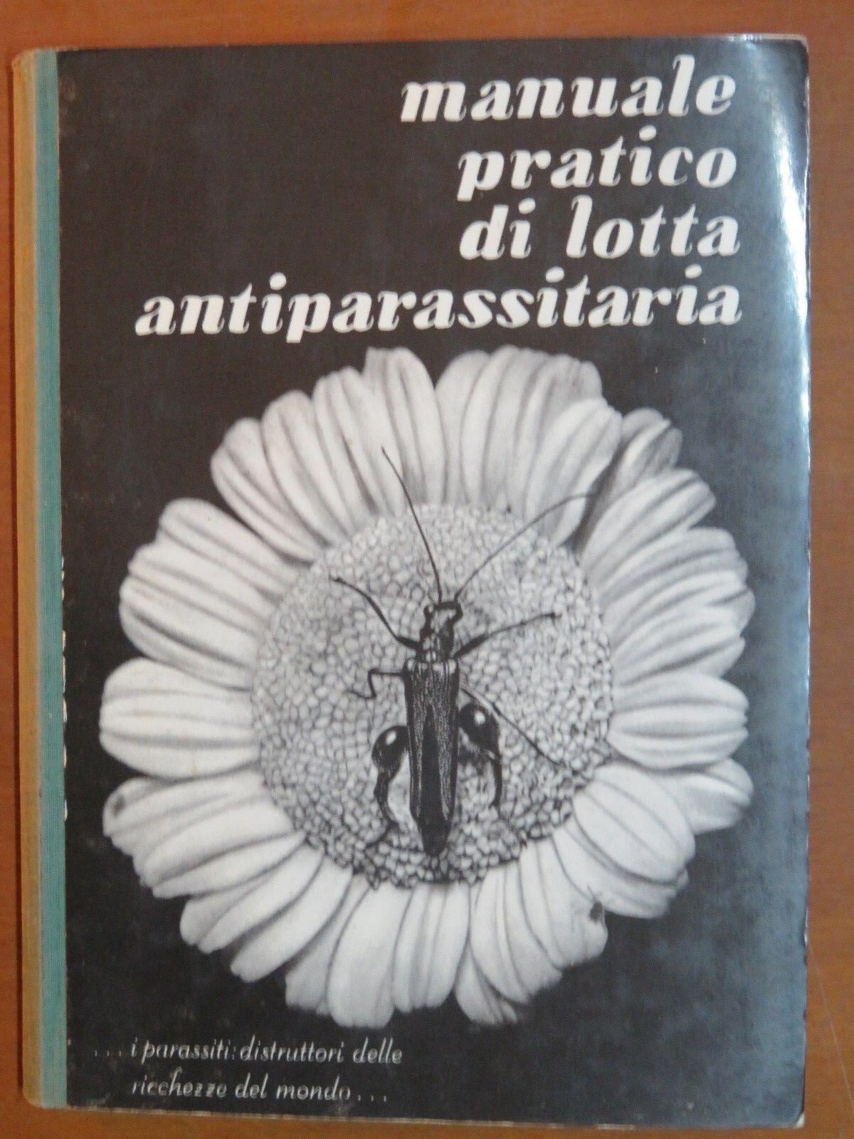 24051882