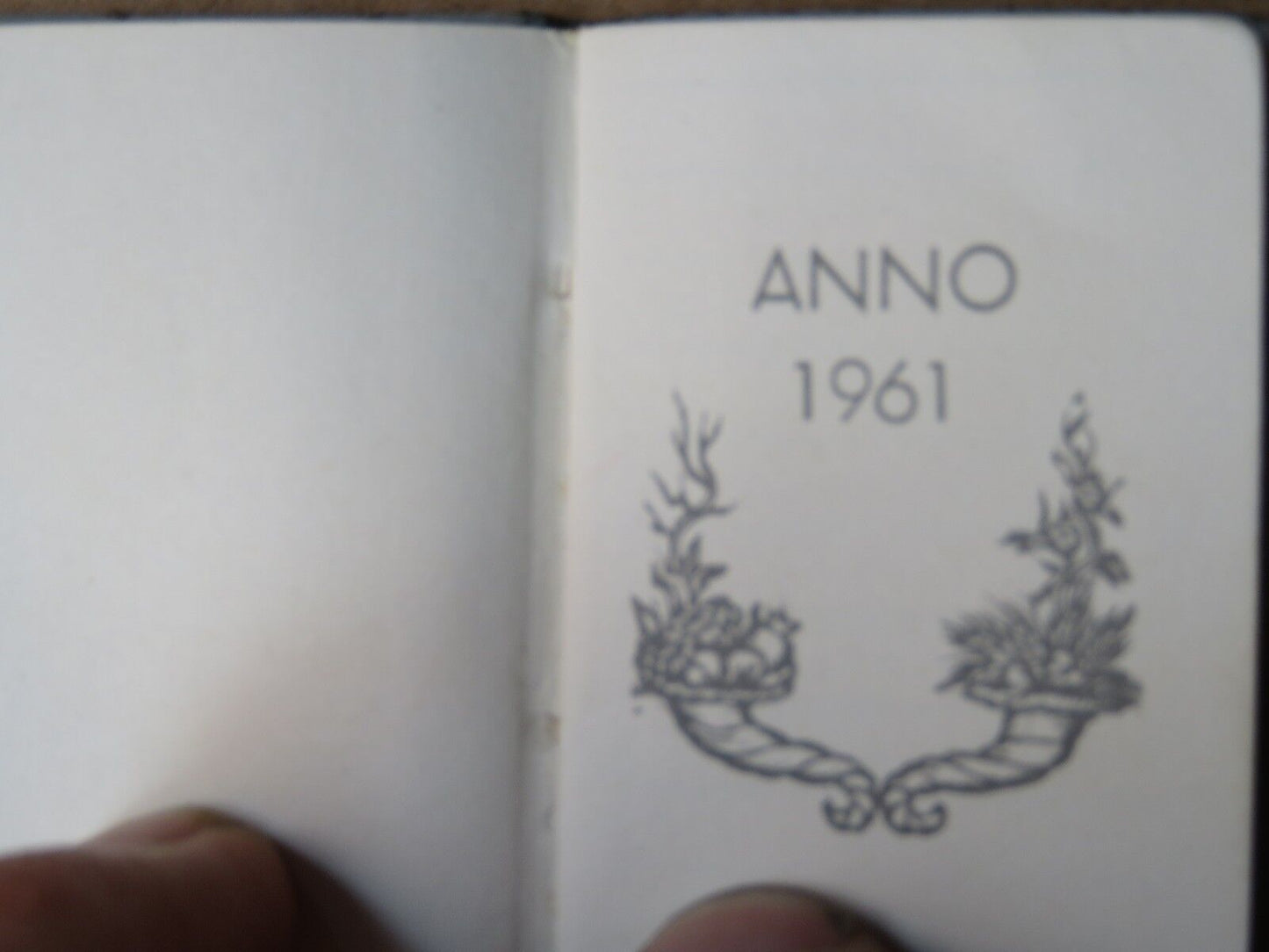 24042544
