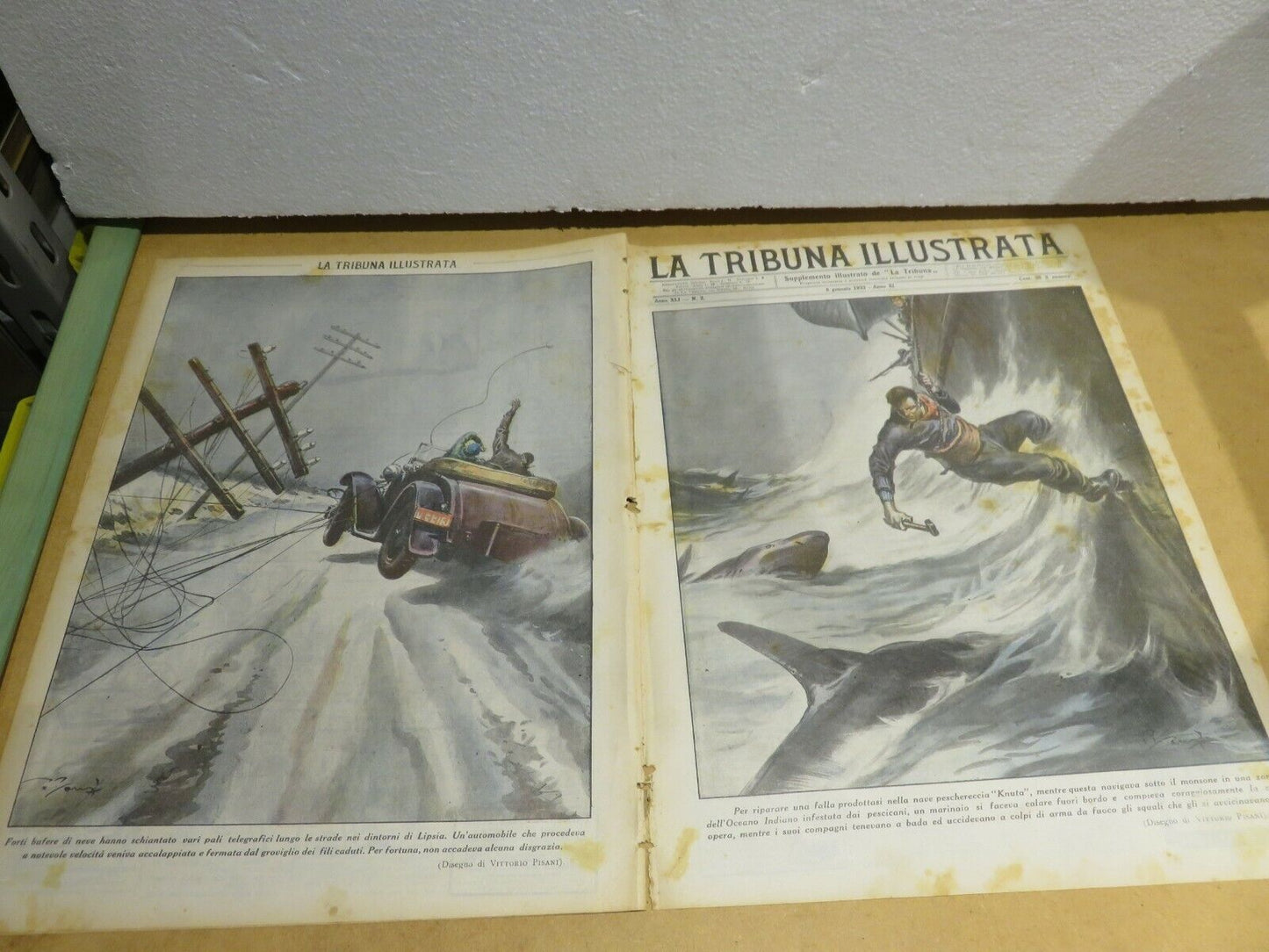 23981451