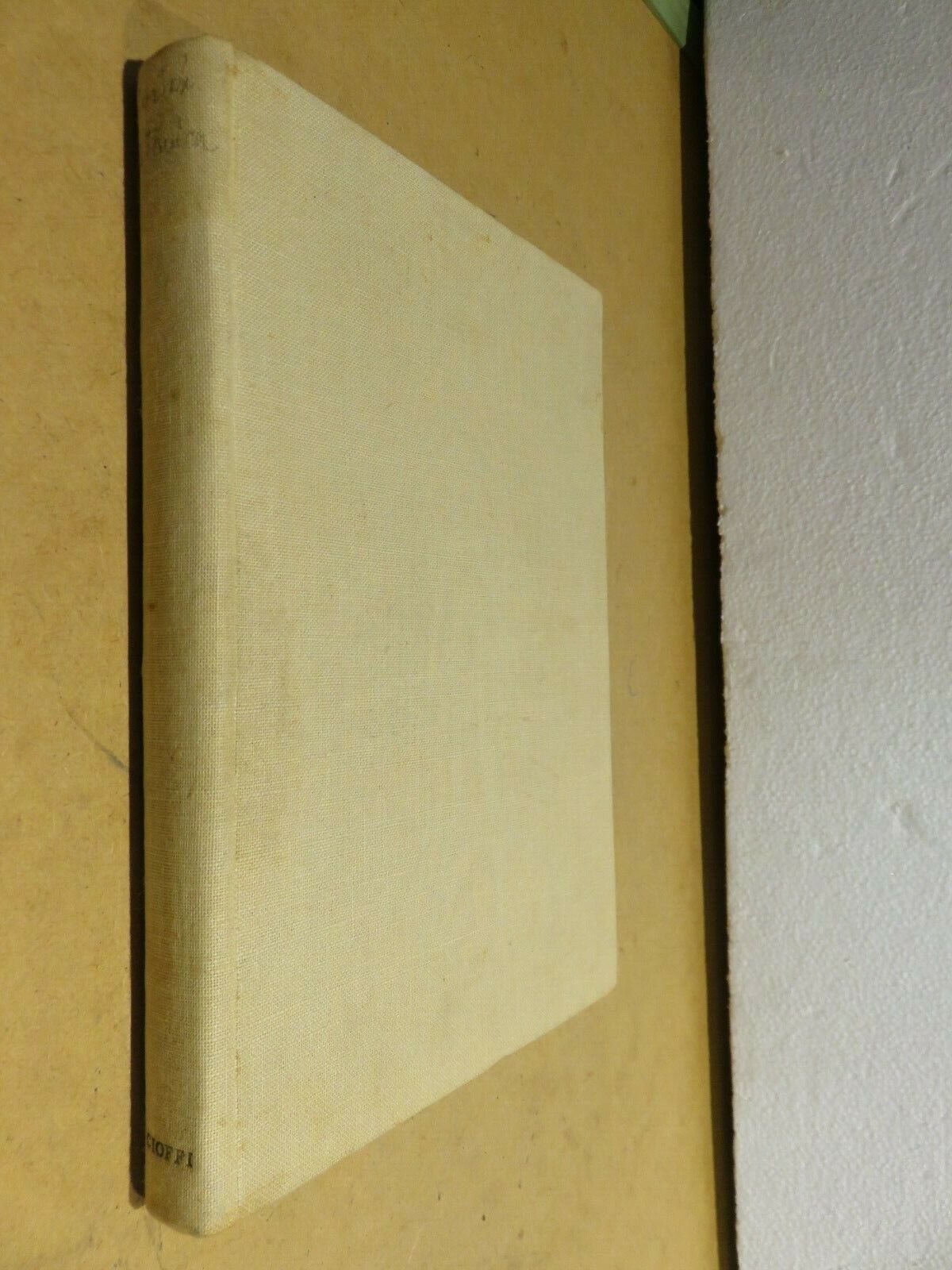 24061854