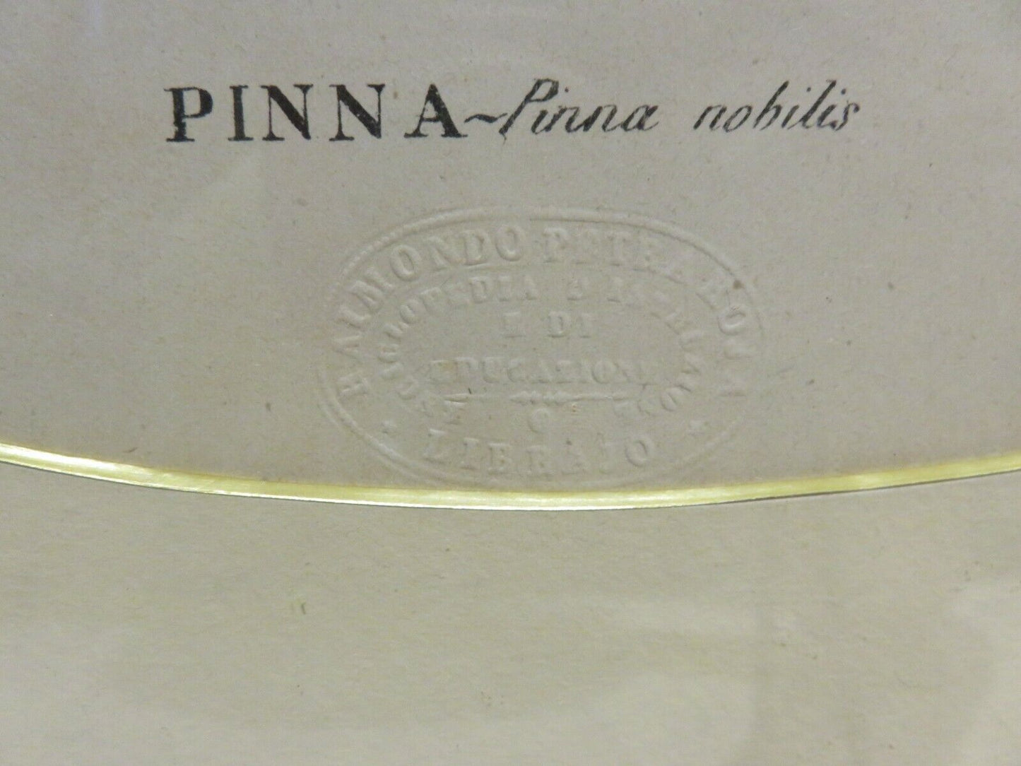 24050046