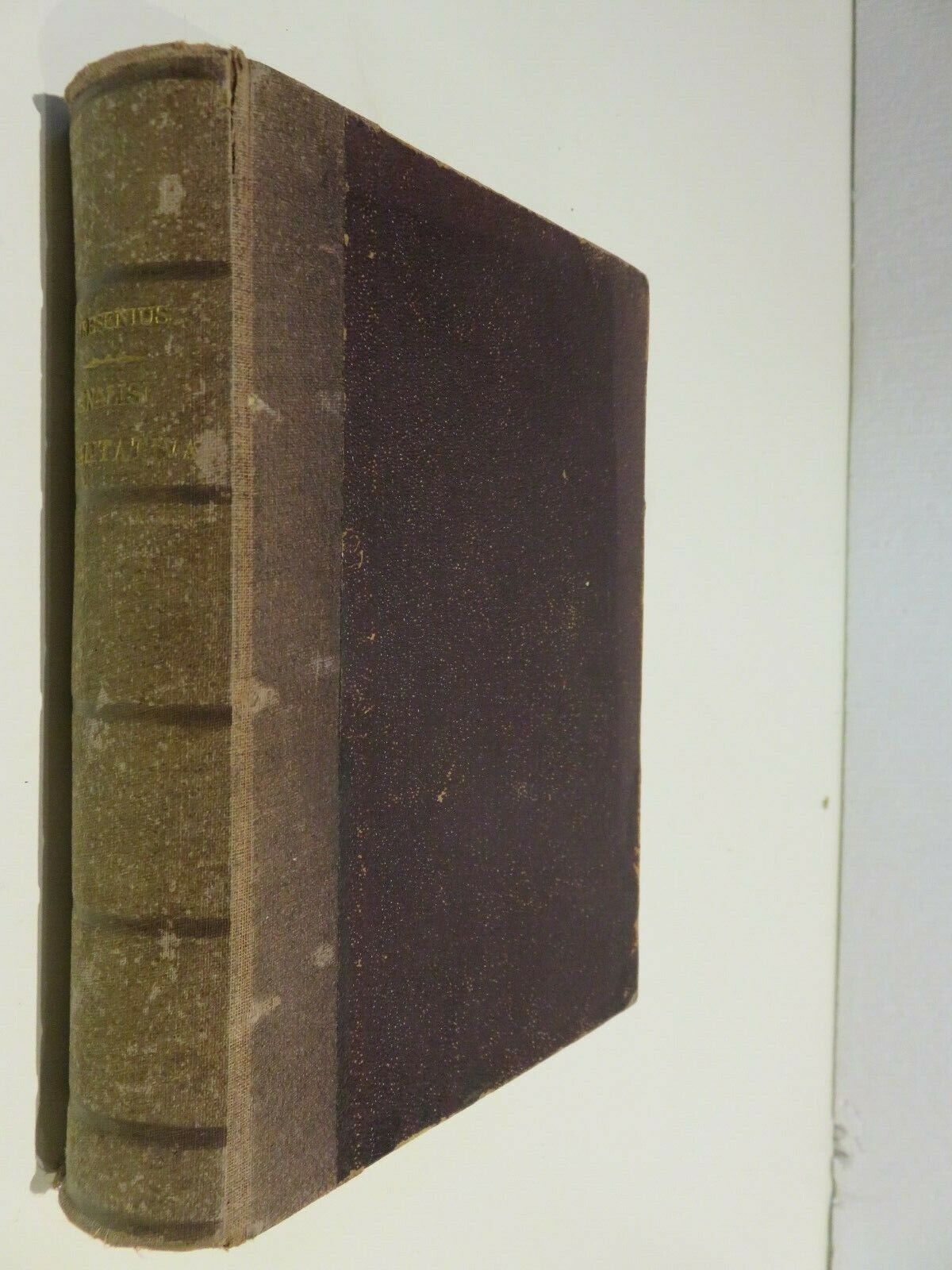 24058895