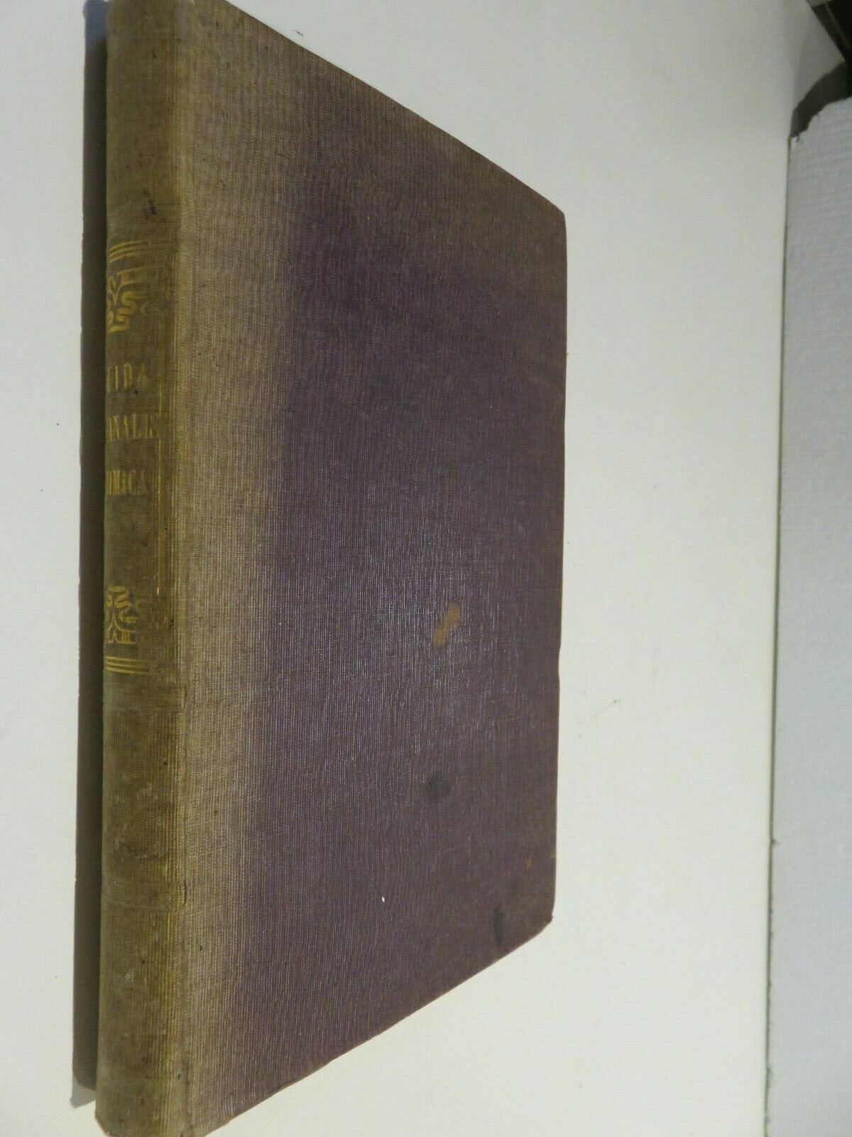 24060160