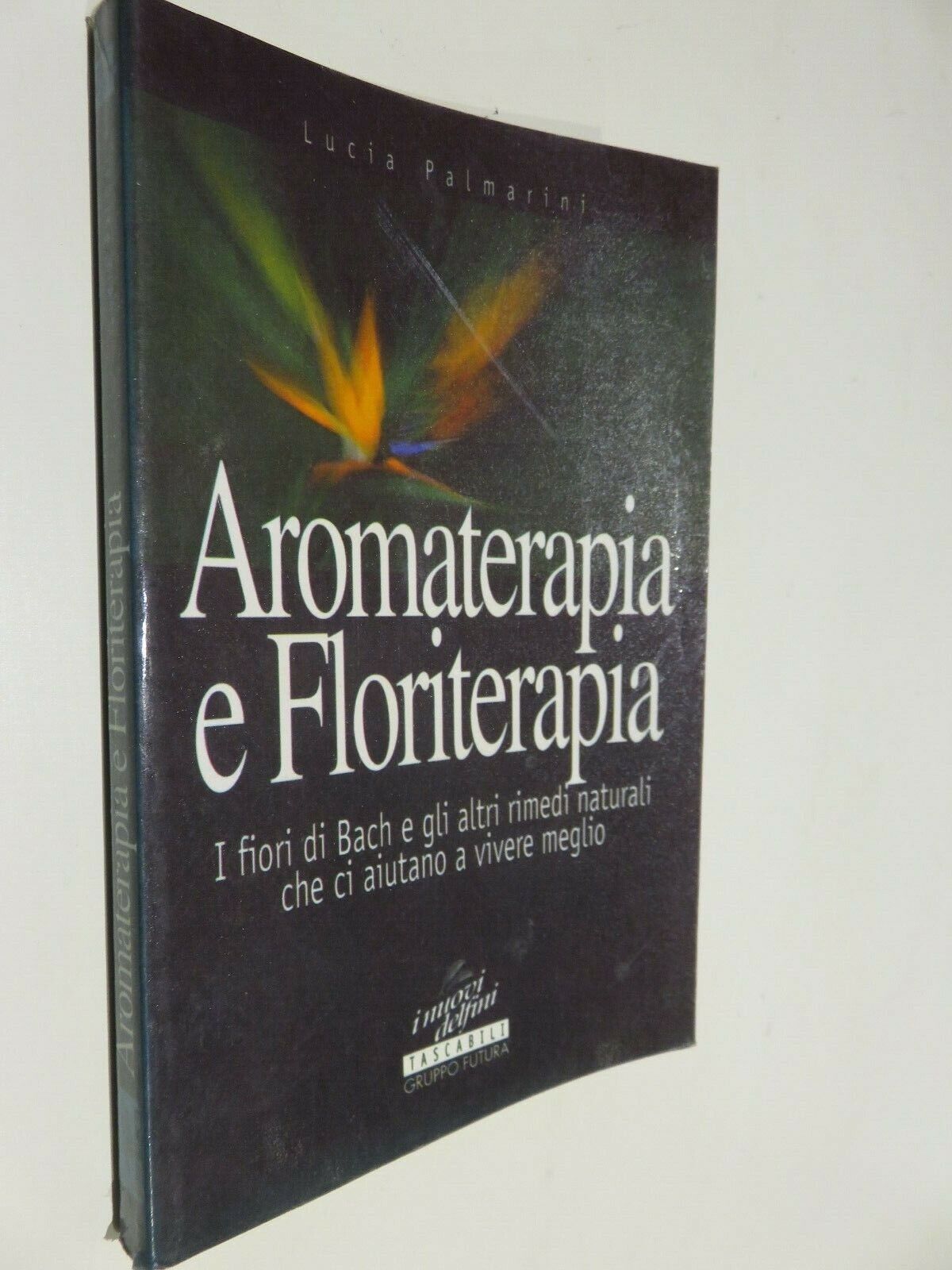 24064244
