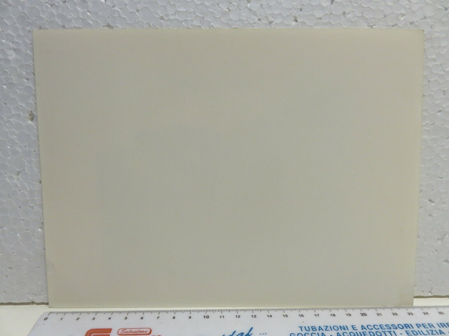 24003079