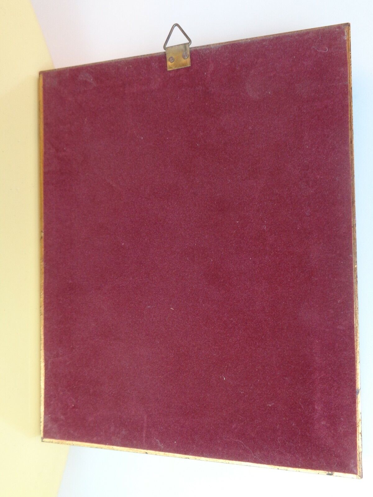 24008798