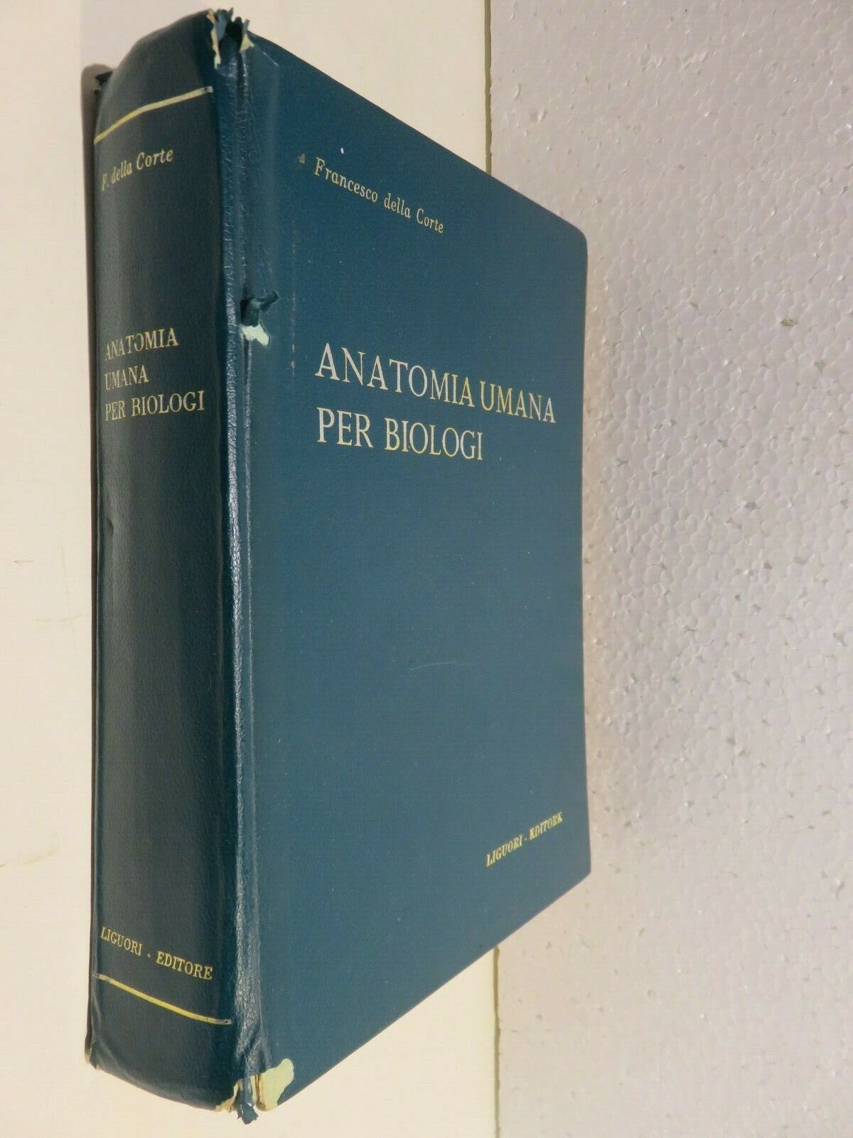 24057465