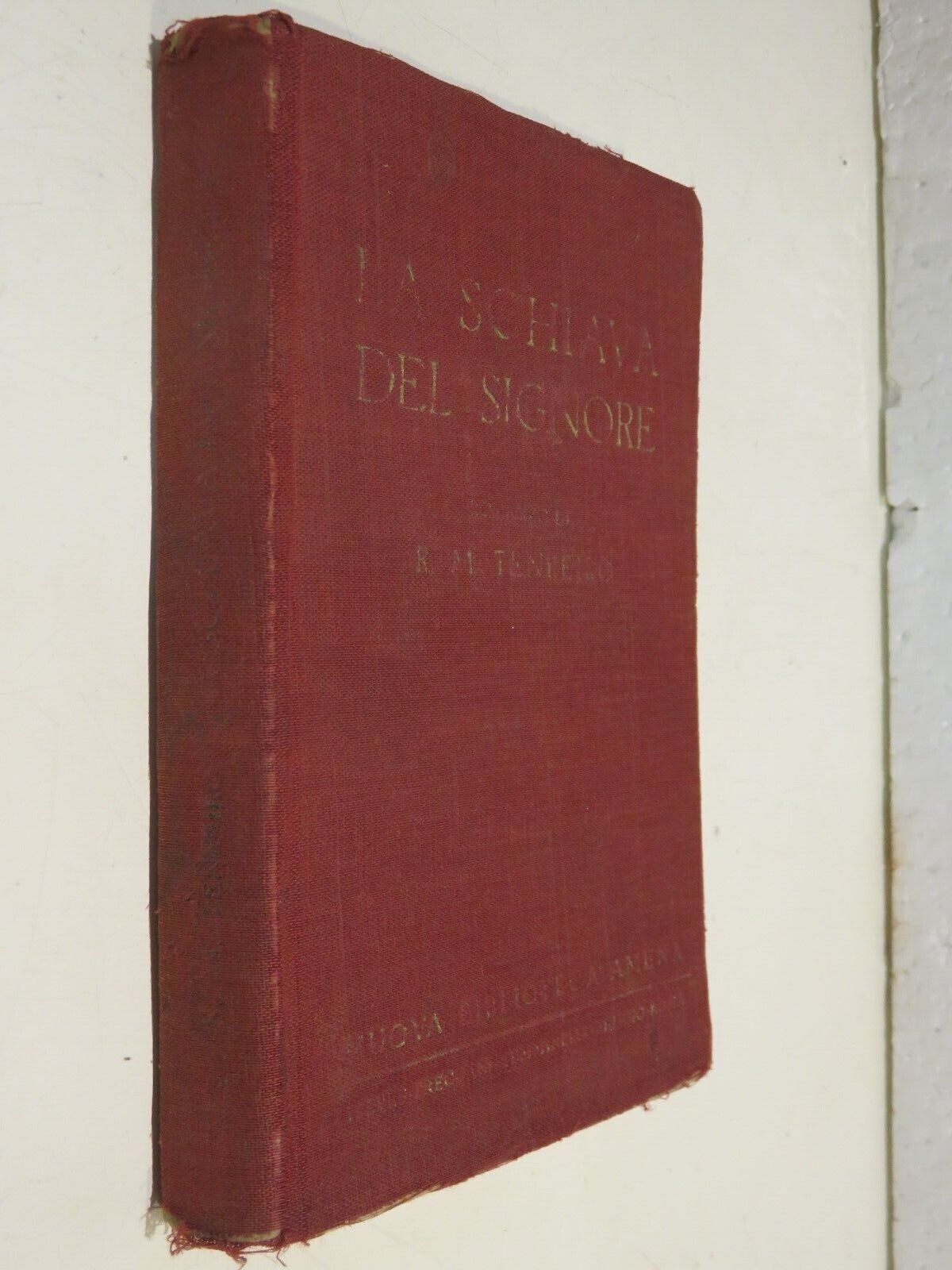 24004863