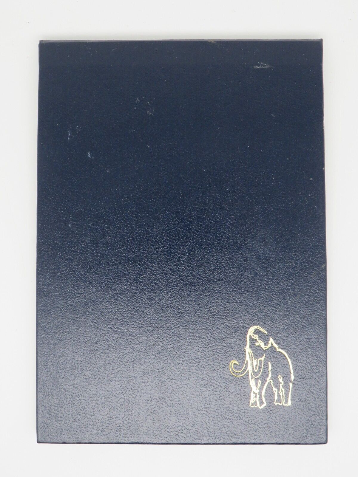 24009084