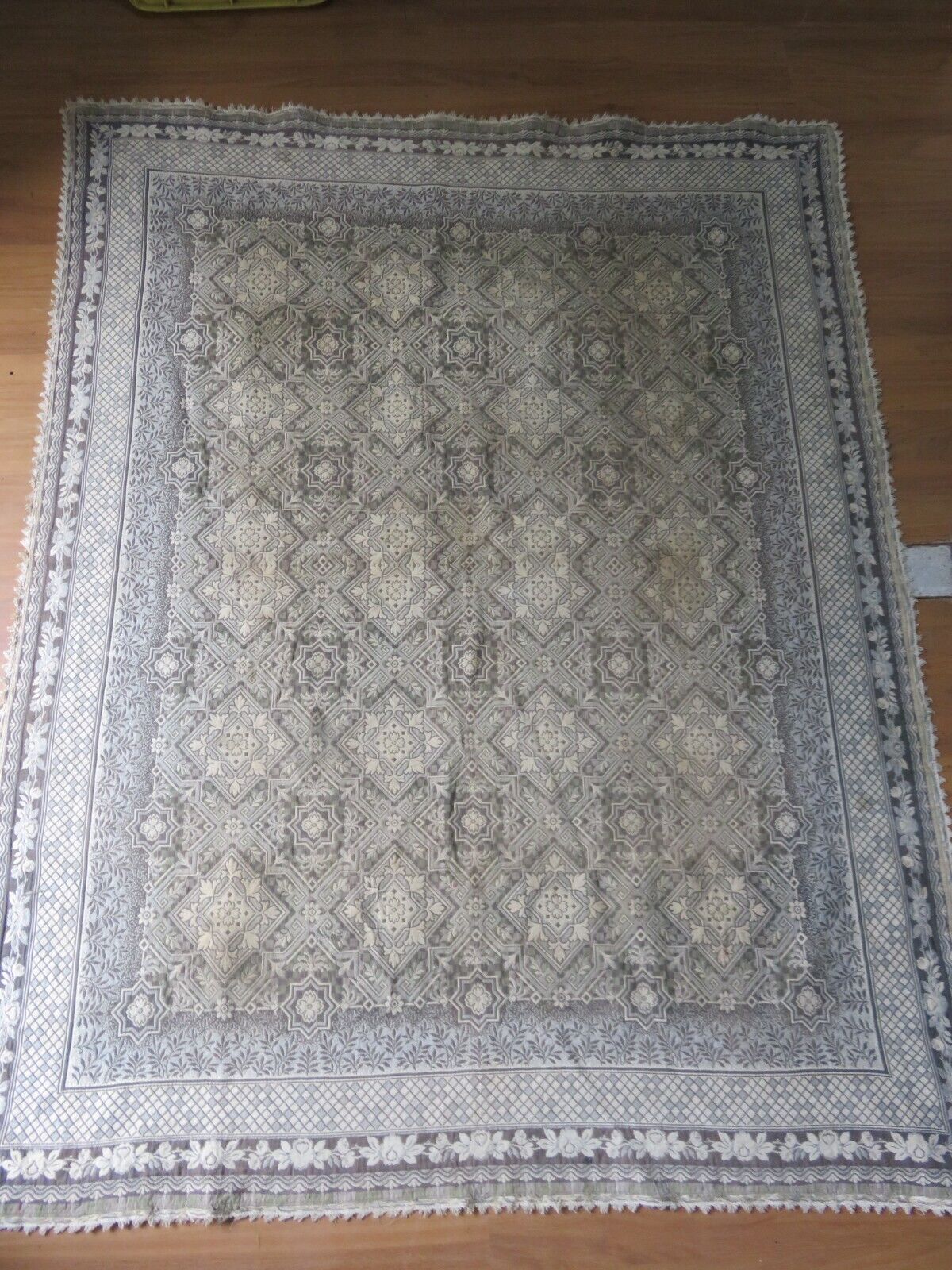 23964494