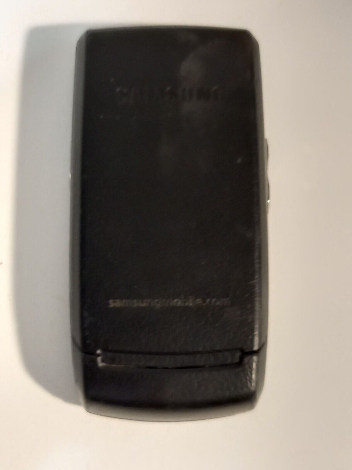 23984459