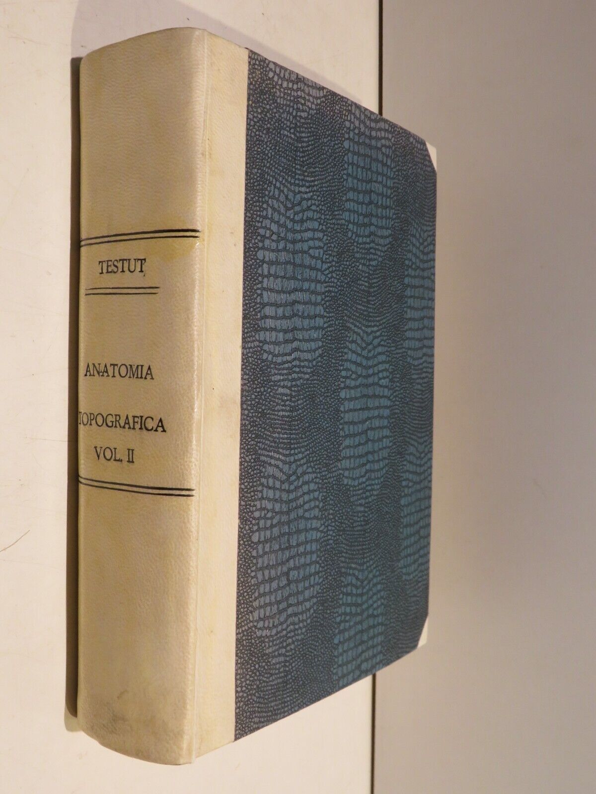 23991079