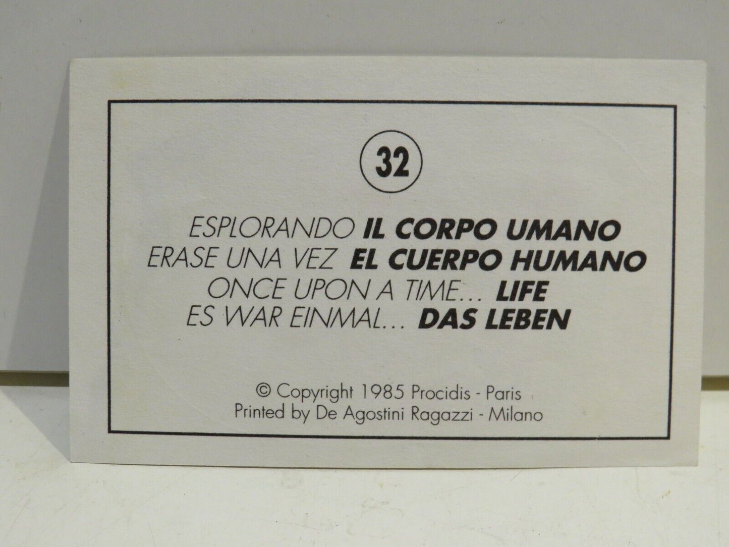 24019529