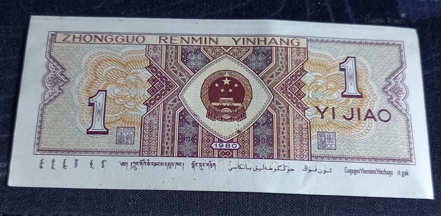 23969004