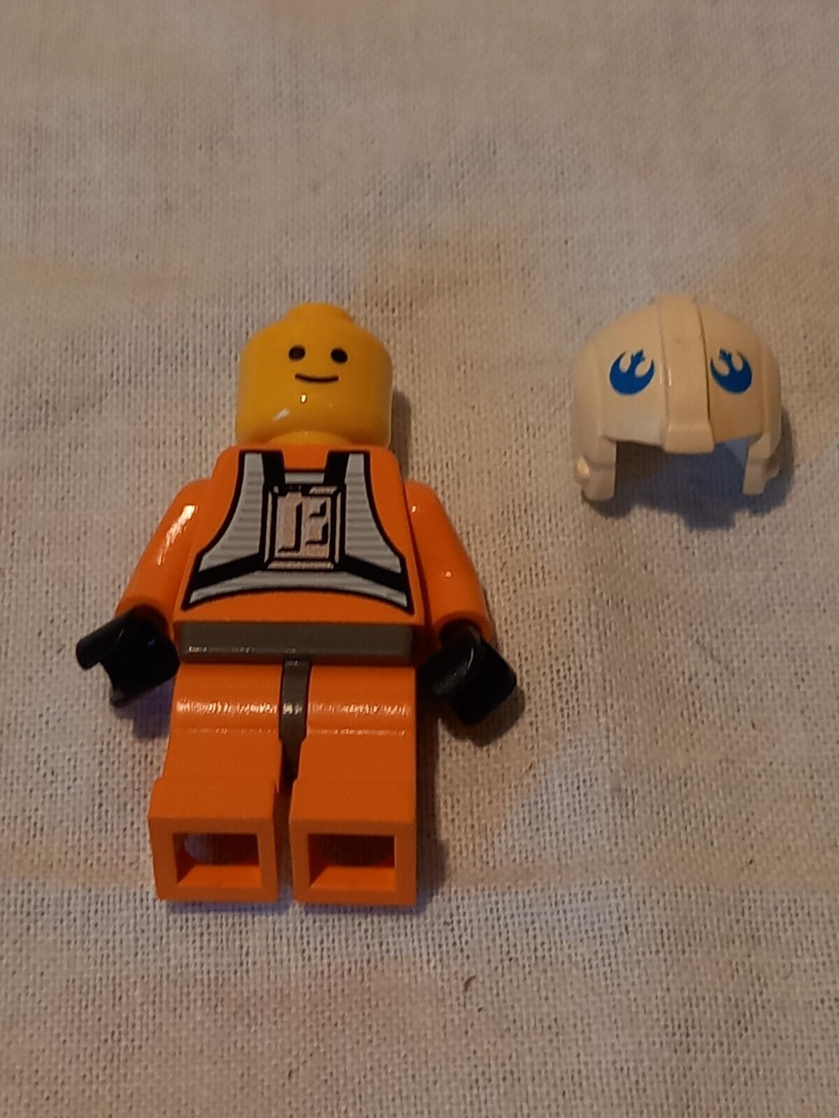23977669