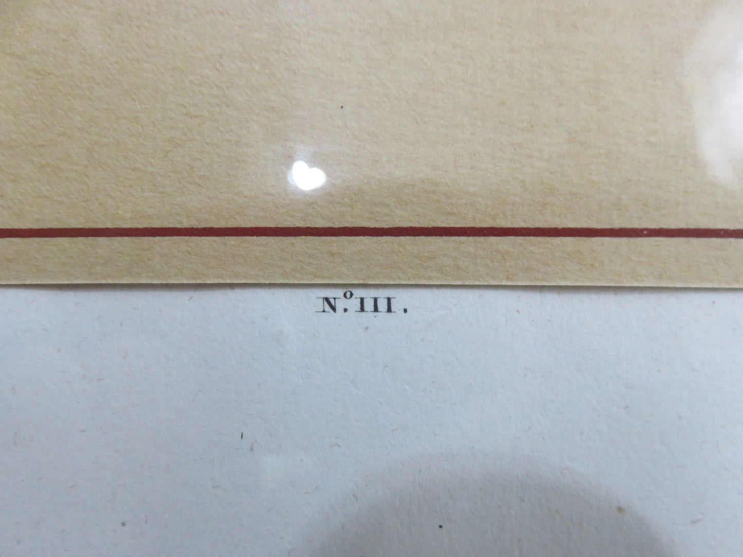 26192305