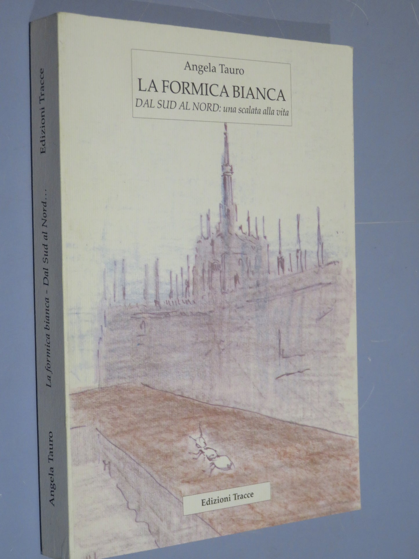26196266
