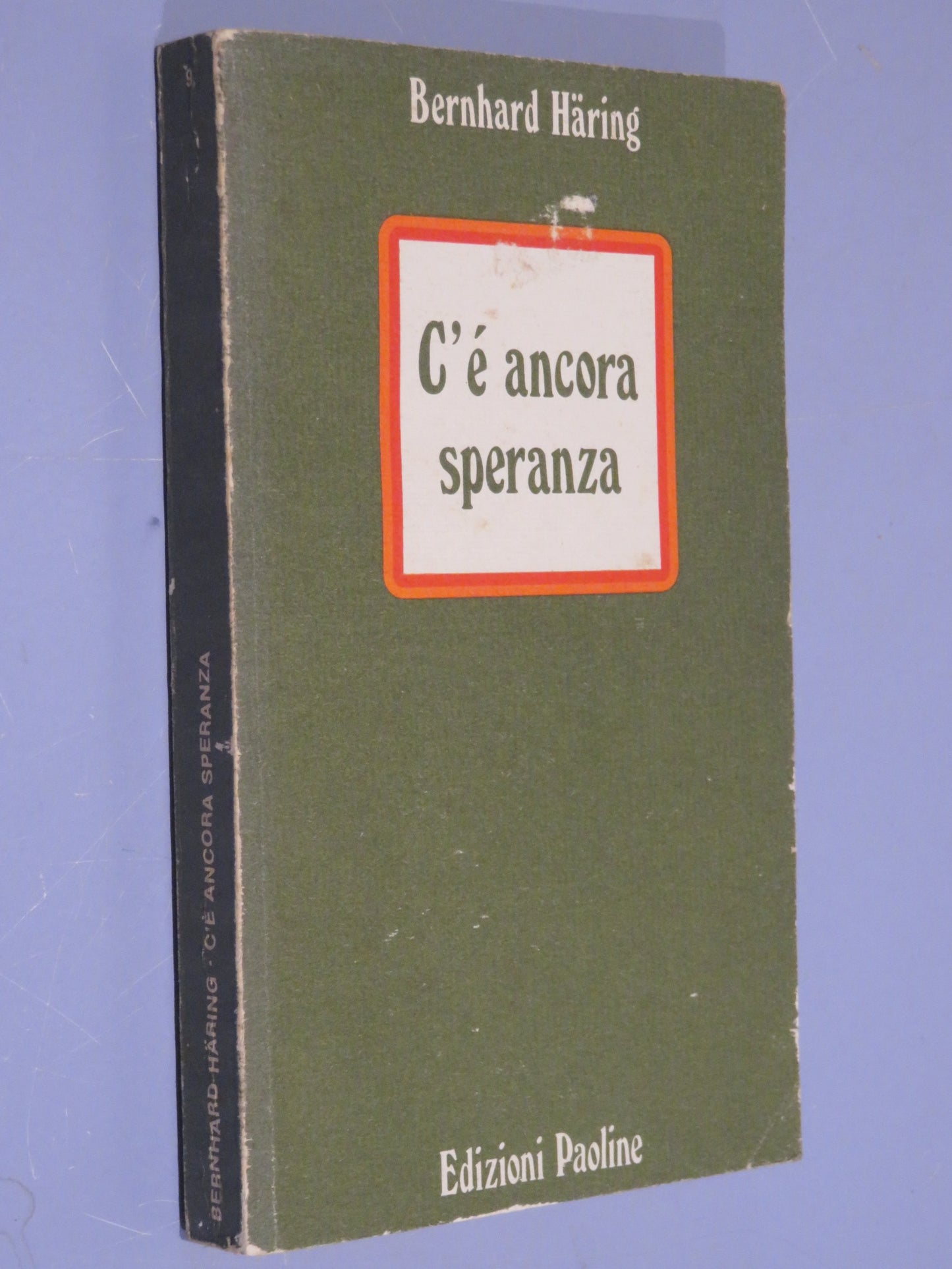 26042081