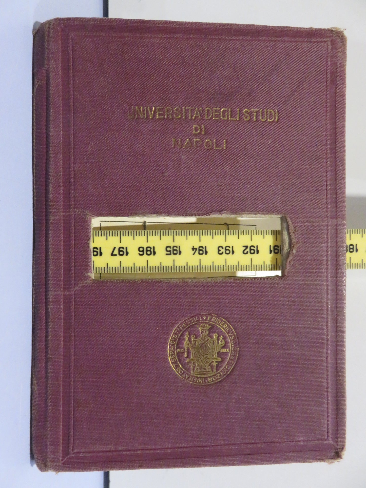 32250574