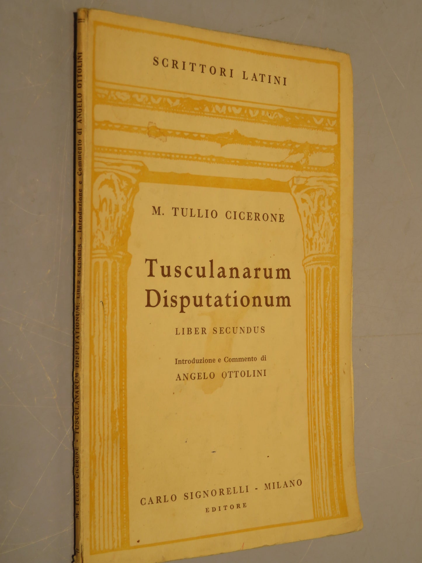 44041384
