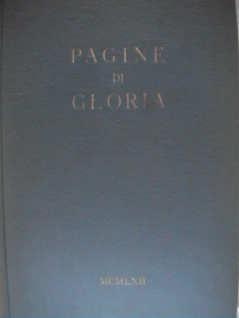 23953202
