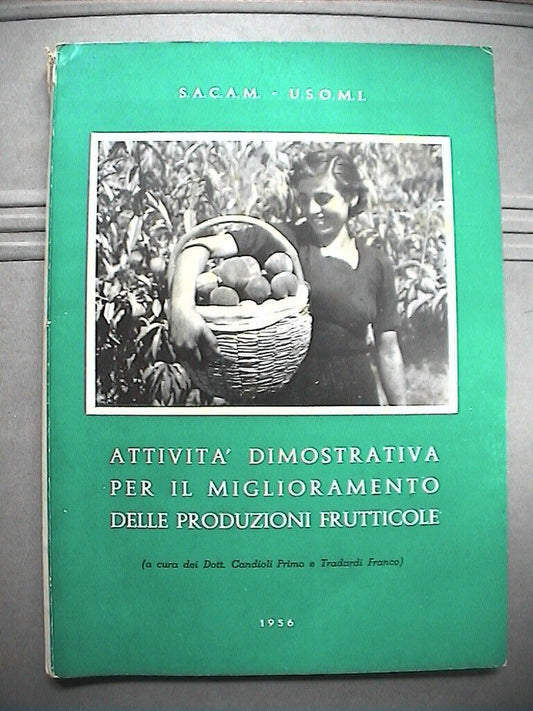 23953091