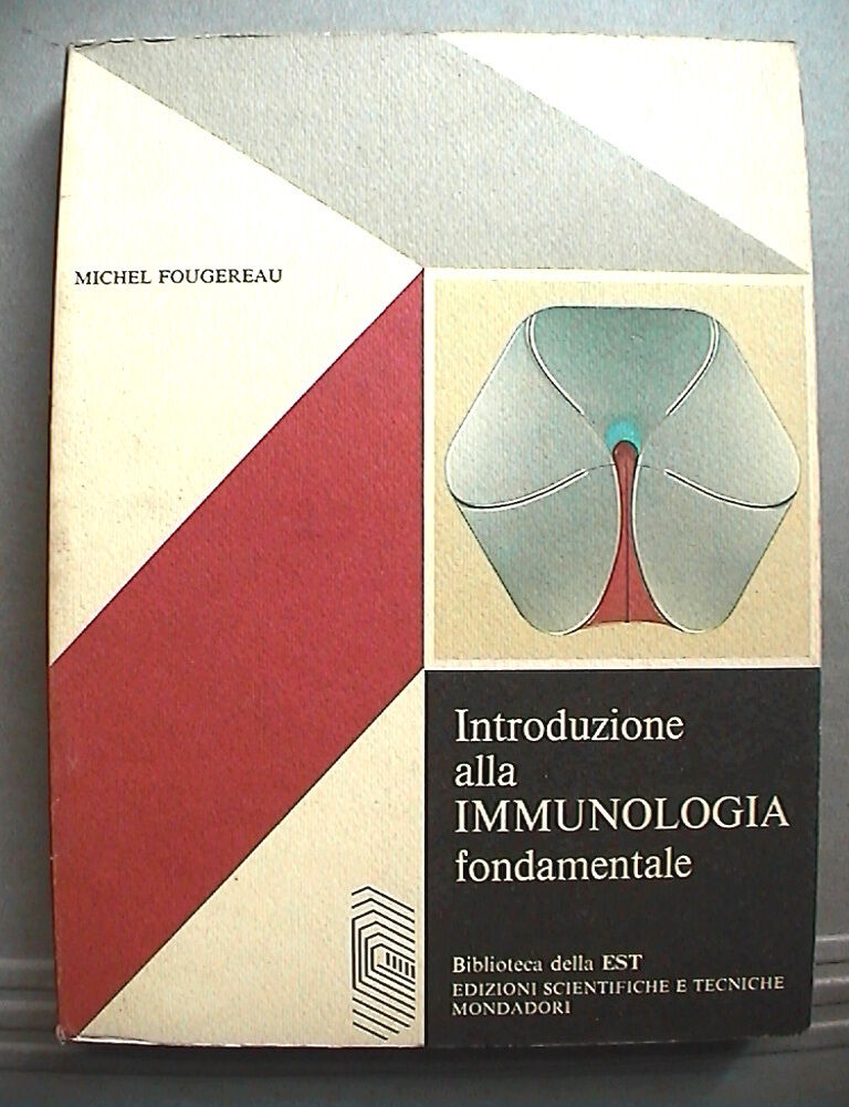 23953449