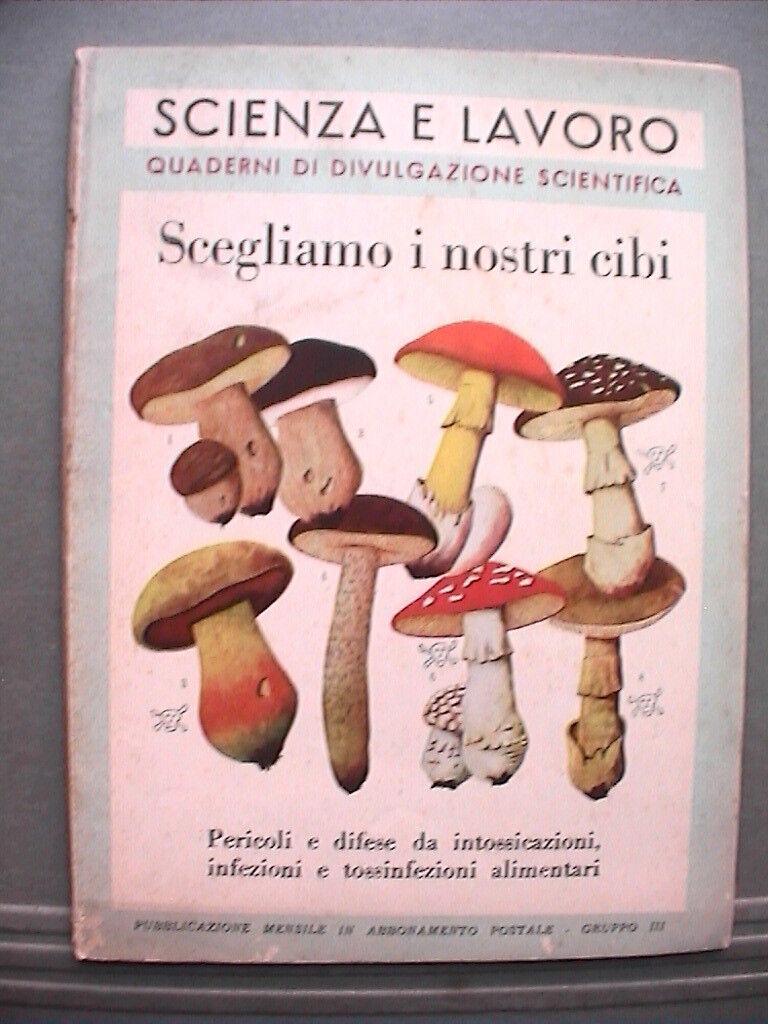 23954240