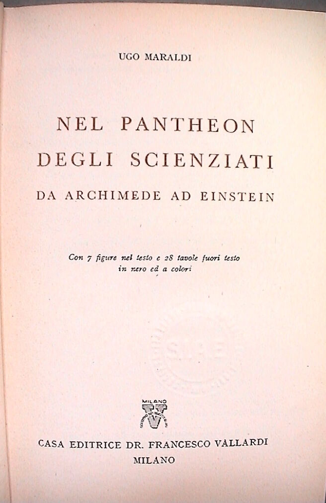 23955033