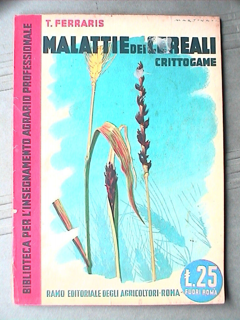 23959271
