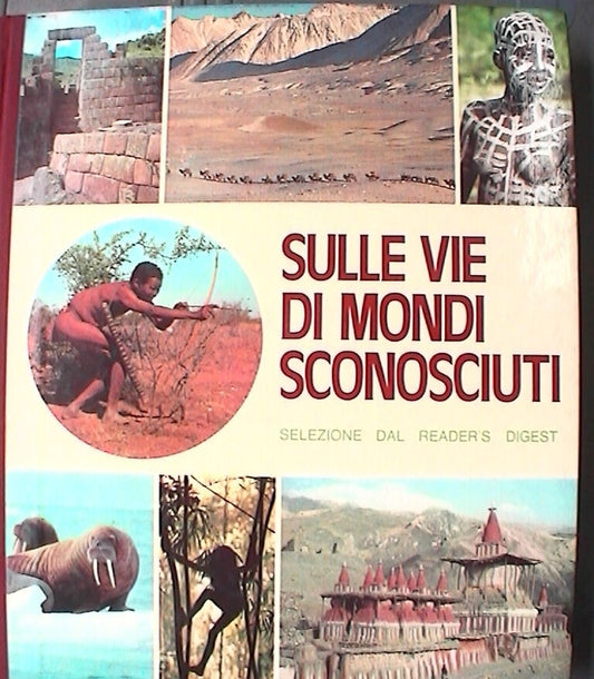 23967506