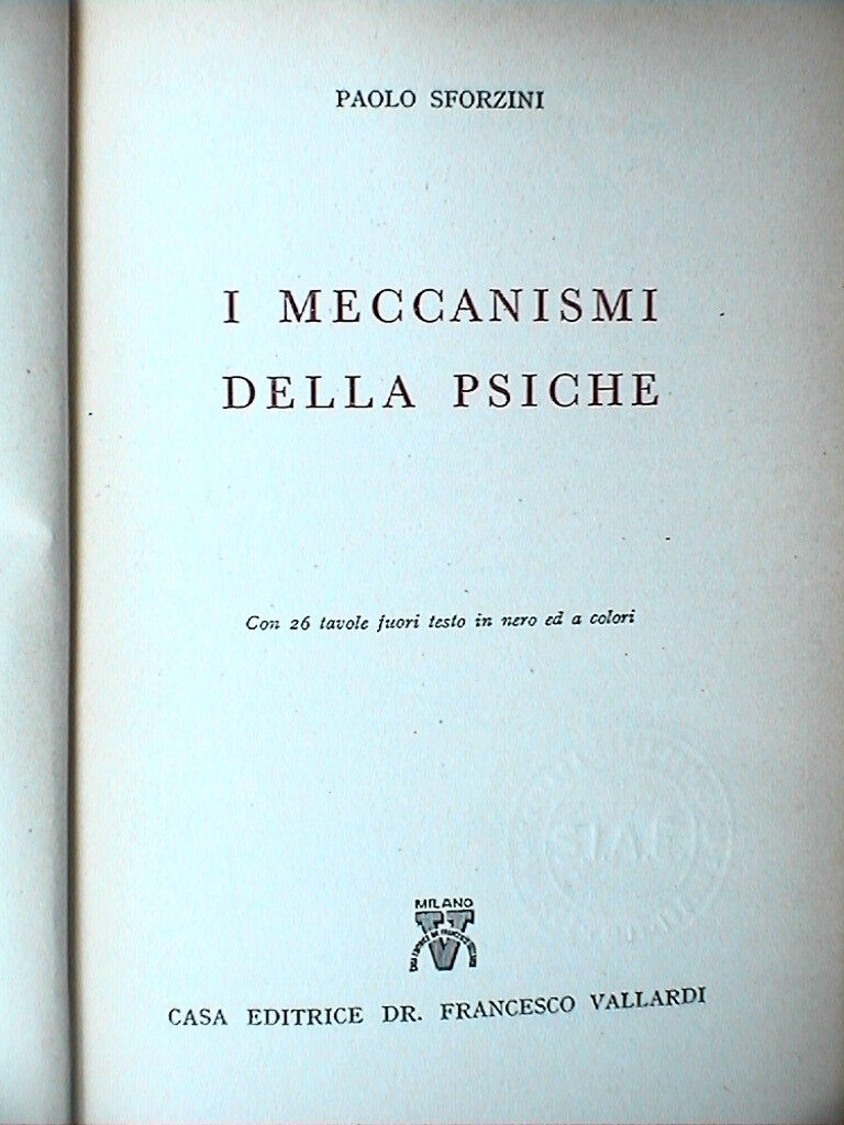 23946090