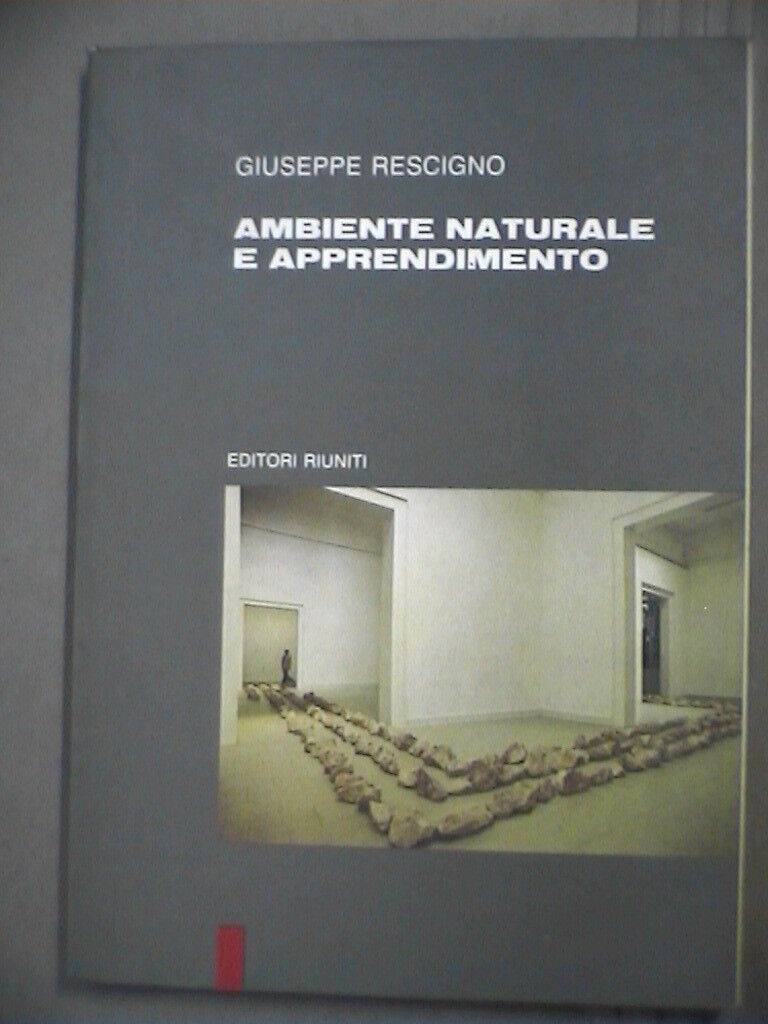 23952992