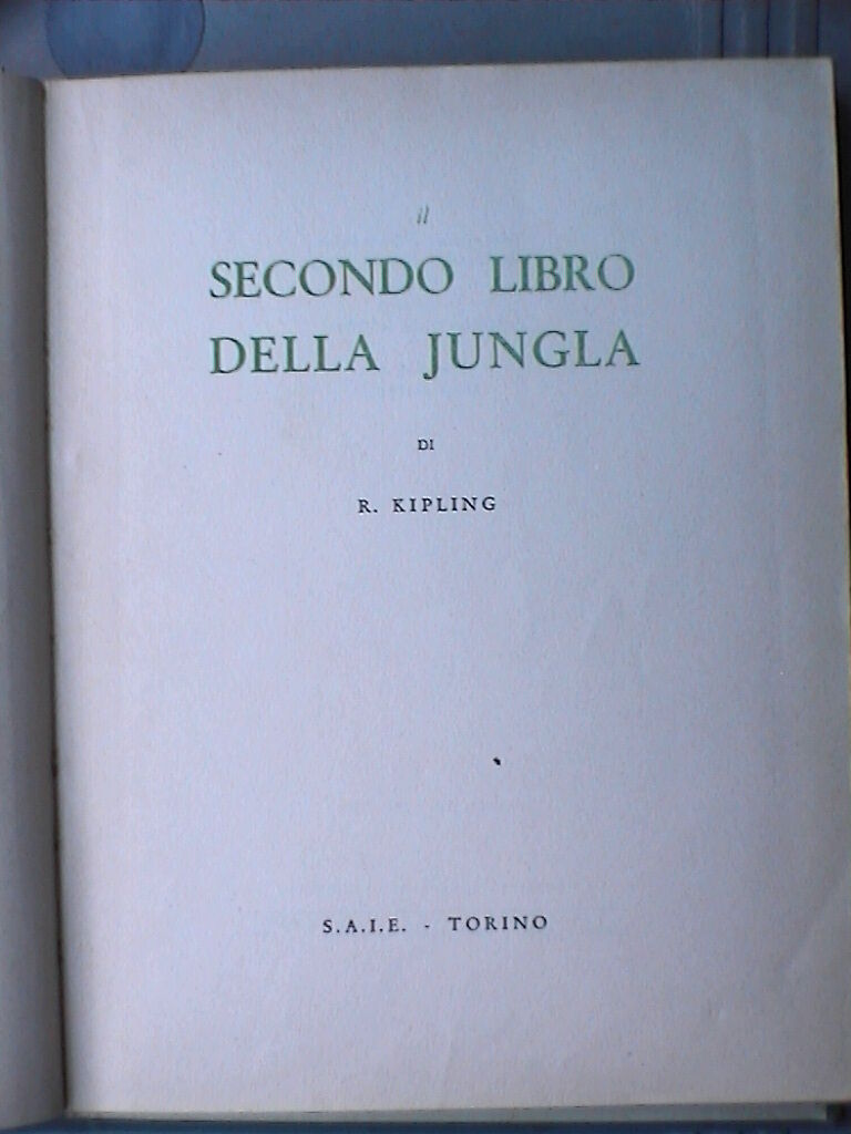 23954446