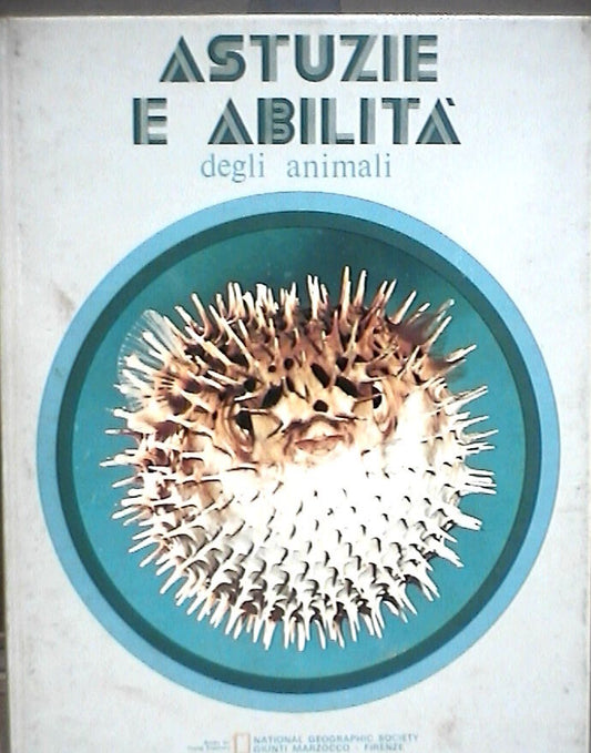 23959363