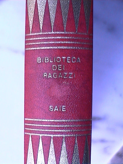 23968365