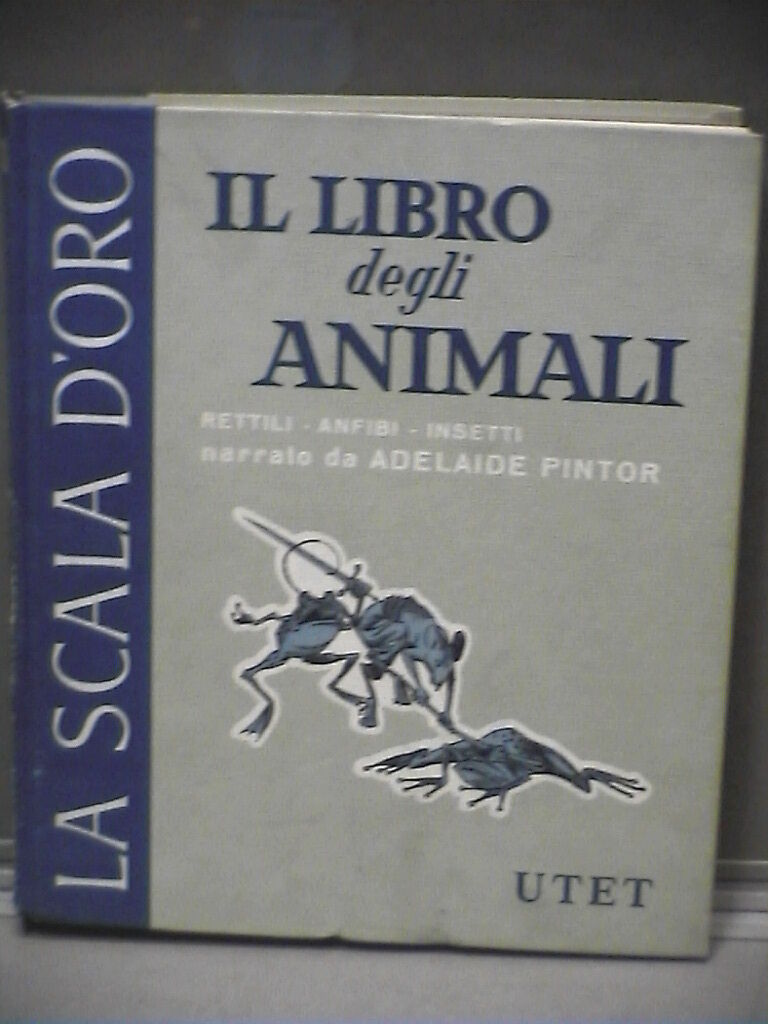23972706